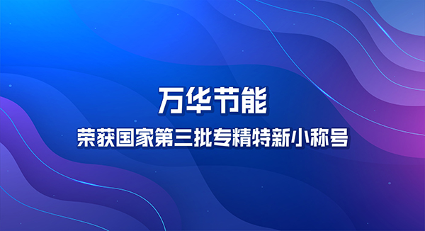 九游体育(NineGame)官方网站荣获国家第三批专精特新小巨人称号