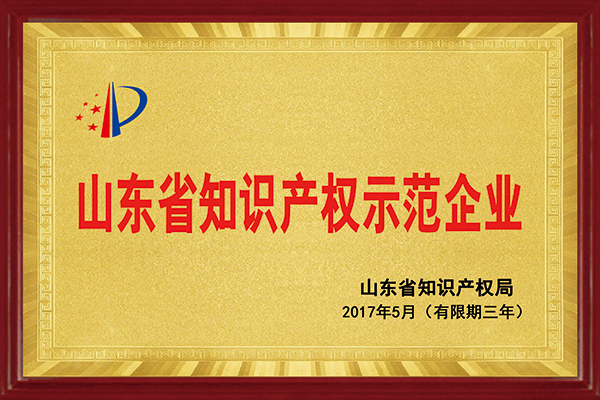 九游体育(NineGame)官方网站荣获“2017年山东省知识产权示范企业”称号
