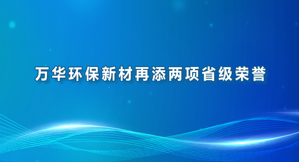 九游体育环保新材再添两项省级荣誉